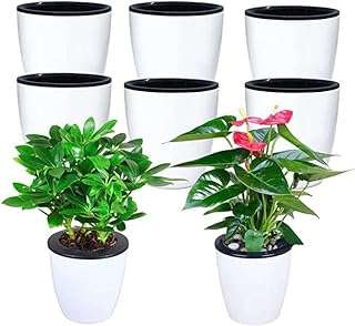 Amater 8 pièces pots de fleurs lents hydroponique pot de jardinière à arrosage automatique avec niveau. Vous recherchez des produits discount à prix cassés ? DIAYTAR COTE D'IVOIRE  est là pour vous ! Découvrez notre catalogue en ligne et trouvez tout ce dont vous avez besoin, de l'électroménager aux articles pour la maison, en passant par l'informatique, la mode et les meilleurs gadgets du moment. Faites des économies sans compromettre votre style !