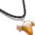 Collier de dents de requin fossiles véritables préhistoriques du maroc sur cordon en cuir. DIAYTAR COTE D'IVOIRE  - votre partenaire discount pour une vie plus abordable. Nous vous présentons une vaste sélection de produits de qualité à des prix imbattables, allant de l'électroménager performant aux articles de mode élégants. Achetez malin avec nous et réalisez d'importantes économies.