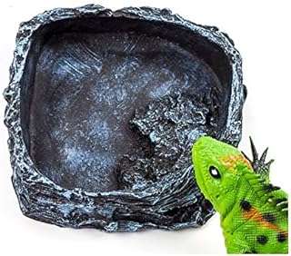 Bol de nourriture naturelle antol pour reptile amphibien tortue serpent lézard. Looking for affordable yet quality products? Look no further than DIAYTAR COTE D'IVOIRE, the premier online store that brings you a vast assortment of discounted items. Explore our range of home essentials, electronics, fashionable apparel, and the latest gadgets, all at unbeatable prices that make your shopping experience truly remarkable.