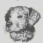 La vie du chien. DIAYTAR COTE D'IVOIRE  est le paradis des bonnes affaires ! Trouvez tout ce dont vous avez besoin pour votre maison, de l'informatique à l'électroménager, à des prix défiant toute concurrence. Ne manquez pas nos offres incroyables et profitez de la livraison rapide pour recevoir vos achats directement chez vous.