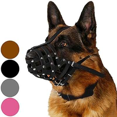 Muselière pour chien collar direct pour berger allemand dalmatien dobermann setter en cuir avec panier. Faites des économies intelligentes sur DIAYTAR COTE D'IVOIRE, votre boutique en ligne de confiance. Avec notre large sélection de produits discount, incluant la maison, l'électroménager, l'informatique et la mode, vous trouverez tout ce dont vous avez besoin à des prix défiant toute concurrence. Ne manquez pas nos offres promotionnelles et commandez en toute simplicité dès maintenant!