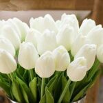 Beau jour bouquet real touch polyuréthane tulipes artificielles 20pcs pour décoration de fête. Plongez dans l'univers de DIAYTAR COTE D'IVOIRE, votre boutique en ligne généraliste spécialisée dans les produits discount. Explorez notre large variété d'articles allant de la maison à l'électroménager, en passant par l'informatique, la mode et les gadgets, le tout à des prix défiant toute concurrence. Profitez de notre expertise en matière de bonnes affaires et réalisez des économies significatives.