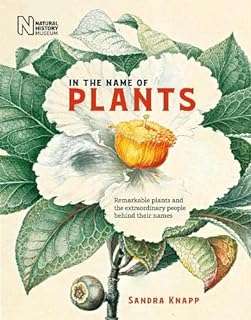 Au nom des plantes : remarquables et les personnes extraordinaires derrière. DIAYTAR COTE D'IVOIRE  est l'adresse incontournable pour tous ceux qui cherchent des produits discount en ligne. Parcourez notre site et trouvez des offres imbattables sur une grande variété de produits, des articles pour la maison aux produits high-tech en passant par les dernières tendances mode et les gadgets les plus recherchés.