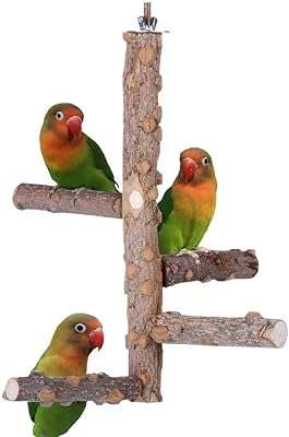 Support à oiseaux en bois naturel u homey kentur pour accessoires de cage. DIAYTAR COTE D'IVOIRE  est la boutique en ligne idéale pour les chasseurs de bonnes affaires. Explorez notre vaste choix de produits à prix discount, parmi lesquels l'électroménager, l'informatique, la mode et les gadgets, et économisez tout en vous faisant plaisir !