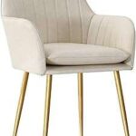 Chaises de salle à manger de salon en tissu velours pour hôtel. Explorez DIAYTAR COTE D'IVOIRE  et économisez gros sur une variété de produits pour la maison, y compris des appareils électroménagers dernier cri, des gadgets innovants et des articles à la mode, à des tarifs imbattables.