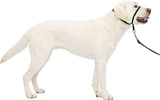 Laisse douce sans traction petsafe grande laisse de dressage pour chien. Besoin de faire des économies ? Faites confiance à DIAYTAR COTE D'IVOIRE, la boutique en ligne discount idéale pour toutes vos envies. Parcourez notre gamme complète de produits, allant de la maison à l'électroménager, de l'informatique à la mode et aux gadgets, et découvrez des offres irrésistibles. Achetez en toute confiance, car la satisfaction de nos clients est notre priorité absolue.