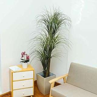 1.7m plante de yucca artificielle arbre artificiel avec pot en plastique. DIAYTAR COTE D'IVOIRE  - L'adresse incontournable des chasseurs de bonnes affaires en ligne. Découvrez notre large gamme de produits à prix discount, allant des gadgets innovants aux appareils électroménagers dernier cri. Faites des économies sans sacrifier vos envies !