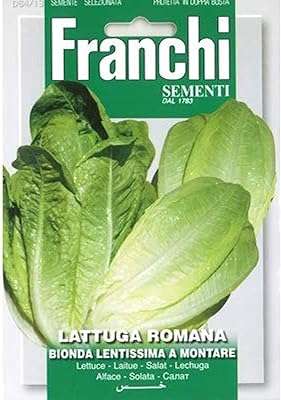 Franchi laitue romana latte aux graines. DIAYTAR COTE D'IVOIRE, votre destination shopping en ligne pour tous vos besoins discount. Trouvez tout ce dont vous avez besoin dans une seule boutique, des articles pour la maison aux gadgets incontournables, et réalisez des économies tout en satisfaisant vos envies.