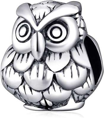 Pendentif hibou oiseau porte bonheur en argent sterling 925 pour bracelet pandora. DIAYTAR COTE D'IVOIRE, la référence en matière de shopping discount en ligne. Découvrez notre vaste sélection de produits allant de la maison à l'informatique, en passant par l'électroménager et la mode. Avec des prix défiant toute concurrence, vous pourrez satisfaire toutes vos envies sans vous ruiner. Faites des économies tout en achetant des produits de qualité chez DIAYTAR COTE D'IVOIRE .