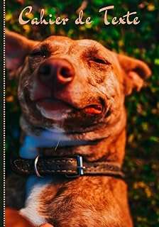 Cahier de texte: chien 2022 2023 pratique pour toutes les matières (leçons et devoirs). Lancez-vous dans une aventure shopping sans fin avec DIAYTAR COTE D'IVOIRE  ! Notre boutique en ligne générale vous propose une multitude de produits discount, allant de l'électroménager de pointe à la mode la plus en vogue. Faites de bonnes affaires et profitez d'une qualité supérieure à des prix défiant toute concurrence.