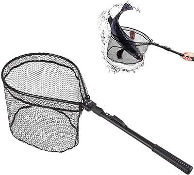 Filet de pêche en plastique ecdon filet télescopique pliable à une main. Faites des économies sans sacrifier la qualité avec DIAYTAR COTE D'IVOIRE . Notre boutique en ligne propose une immense variété de produits discount, allant des appareils électroménagers aux vêtements tendance et aux gadgets les plus populaires. Trouvez tout ce dont vous avez besoin à des prix incroyables !