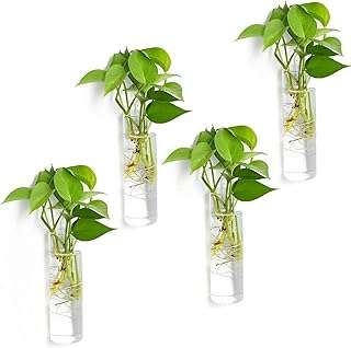 Lot de 4 pots de plantes muraux en verre jardinière suspendue supports. DIAYTAR COTE D'IVOIRE  - le secret des bonnes affaires en ligne. Simplifiez vos achats et réalisez des économies substantielles grâce à notre sélection éclectique comprenant des articles pour votre maison, des gadgets high-tech, des produits informatiques et des vêtements branchés, tous à des prix imbattables.