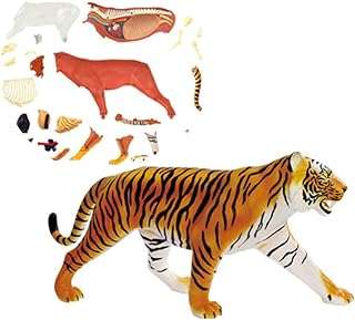 Modèle de tigre anatomique animal scientifique détachable pour l'aide à l'éducation. Découvrez DIAYTAR COTE D'IVOIRE, votre boutique en ligne discount préférée pour des achats malins. Trouvez tout ce dont vous avez besoin, de la maison à l'électroménager, de l'informatique à la mode, et profitez de prix imbattables sur notre gamme de produits variée et de qualité.