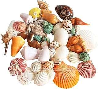 Coquillages de plage naturels de couleurs mélangées idéaux pour la fabrication de bougies et décoration. Faites des économies tout en restant tendance avec DIAYTAR COTE D'IVOIRE . Notre boutique en ligne généraliste propose des articles de mode et des gadgets à prix discount, sans compromis sur la qualité. Explorez notre sélection dès maintenant et trouvez les meilleures affaires du moment.