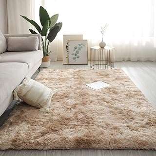 Lemoos grand tapis à poils longs super doux teint par nœuds d'intérieur moderne et moelleux. Avec DIAYTAR COTE D'IVOIRE, vous pouvez acheter intelligemment tout en restant dans votre budget. Notre boutique en ligne propose une sélection de produits discount pour la maison, l'électroménager, l'informatique et la mode, avec des prix attractifs. Parcourez notre collection dès maintenant et trouvez tout ce dont vous avez besoin à moindre coût !