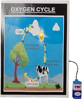 Modèle de travail scientifique sur le cycle de l'oxygène de melody's chemistry illustré avec des feux. Parcourez notre magasin en ligne DIAYTAR COTE D'IVOIRE  et profitez de nos offres incroyables sur une large gamme de produits. Trouvez tout ce dont vous avez besoin, de l'électroménager à l'informatique, et restez à la mode sans vous ruiner grâce à nos articles à prix réduits.