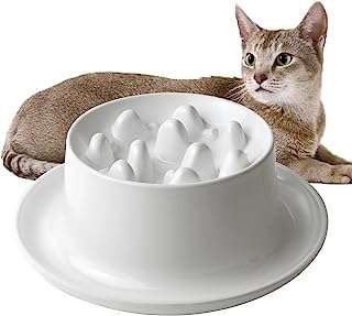 Bols de nourriture lente avancés pour chats bouchon de bol d'alimentation amusant. Maximisez votre budget chez DIAYTAR COTE D'IVOIRE, votre destination en ligne pour des affaires imbattables. Nous vous offrons une gamme complète de produits discount, allant des articles de la maison à l'électroménager, de l'informatique à la mode. Faites des économies sans compromettre la qualité avec DIAYTAR COTE D'IVOIRE !