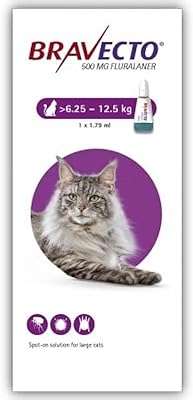 Solution prafecto 7 on pour chat senior 500 mg (625 125 kg) is_best_seller. Vous recherchez des cadeaux à prix abordable pour vos proches ? DIAYTAR COTE D'IVOIRE  a tout pour vous plaire. Explorez notre gamme de gadgets discount, des articles les plus insolites aux innovations technologiques les plus recherchées. Offrez des cadeaux originaux et faites des économies avec DIAYTAR COTE D'IVOIRE .