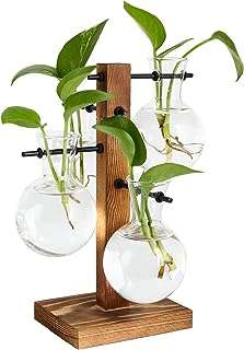 Ensemble de pots de fleurs de bureau dalmoon avec pichet en verre à 4 lumières et support. Trouvez tout ce dont vous avez besoin à des prix incroyables sur DIAYTAR COTE D'IVOIRE ! Que vous cherchiez des meubles abordables pour votre maison, des appareils électroménagers de qualité ou des gadgets technologiques à la pointe, notre boutique en ligne généraliste regorge de bonnes affaires.