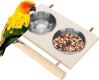 Mangeoire à oiseaux en acier inoxydable couchee pour cage accessoire de nourriture et d'eau. Trouvez tout ce dont vous avez besoin à des prix imbattables chez DIAYTAR COTE D'IVOIRE  - une boutique en ligne généraliste qui vous propose des produits discount pour la maison, l'électroménager, l'informatique et plus encore.