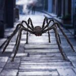Araignée géante de libye halloween araignée en faux cheveux de 2 mètres. DIAYTAR COTE D'IVOIRE, votre destination en ligne pour des achats malins : explorez nos catégories variées telles que la maison, l'électroménager, l'informatique et la mode, et découvrez des produits discount à prix défiant toute concurrence. Faîtes-vous plaisir sans vous ruiner avec DIAYTAR COTE D'IVOIRE !