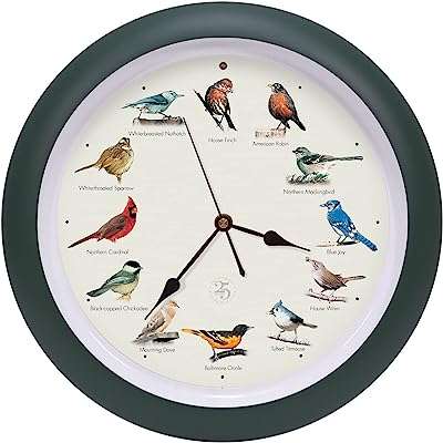 L'horloge originale aux oiseaux chanteurs édition 25e anniversaire vue à la télévision. DIAYTAR COTE D'IVOIRE, votre boutique en ligne discount pour tous les accros du shopping à petits prix. Découvrez notre vaste choix de produits dans toutes les catégories, allant des articles de décoration aux appareils électroménagers en passant par les vêtements et les jouets. Faites des économies tout en comblant vos envies grâce à nos offres exclusives et notre rapport qualité-prix exceptionnel.