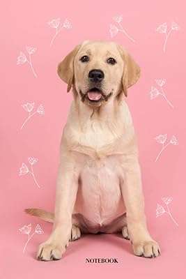 Cahier et journal mignon chiot labrador : 110 pages lignées pour écrire des notes. DIAYTAR COTE D'IVOIRE  est votre guichet unique pour des produits discount de haute qualité. Parcourez notre large sélection d'articles, allant des appareils électroménagers essentiels aux produits informatiques, en passant par les accessoires mode et les gadgets dernier cri, tout en profitant de prix imbattables.