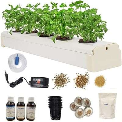 Kit de démarrage hydroponique city greens home 5 pots de plantes pour débutants. DIAYTAR COTE D'IVOIRE  - La solution idéale pour les chasseurs de bonnes affaires en ligne. Trouvez des produits discount de haute qualité dans toutes les catégories, y compris la mode, l'électronique, l'ameublement et bien plus encore. Économisez sans compromis sur la qualité !