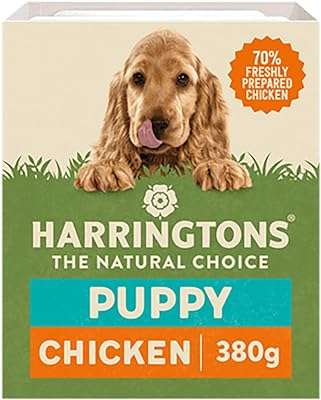 Nourriture humide harringtons pour chiots au poulet et pommes de terre. À la recherche de bonnes affaires ? DIAYTAR COTE D'IVOIRE  est là pour vous aider ! Découvrez notre boutique en ligne remplie de produits discount, des dernières tendances en mode aux gadgets les plus recherchés. Ne manquez pas nos prix imbattables !