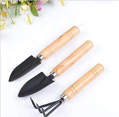 3 pièces mini outils de jardinage petite pelle à manche en bois. Envie d'être à la pointe de la mode sans dépenser une fortune ? DIAYTAR COTE D'IVOIRE  vous propose une sélection de vêtements et accessoires tendance à prix cassés. Que vous cherchiez des tenues pour toute la famille ou des pièces uniques pour vous démarquer, notre boutique en ligne généraliste vous garantit des achats mode discount qui feront sensation.