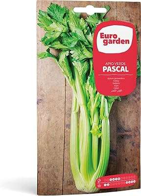 Graines de céleri de jardin européen de haute qualité (epio pa) fabriquées en espagne. DIAYTAR COTE D'IVOIRE  vous propose une expérience de shopping en ligne à petit budget sans compromettre la qualité. Découvrez notre sélection diversifiée de produits discount, allant de l'informatique aux gadgets branchés, en passant par les articles pour la maison et bien plus encore. Faites des économies intelligentes et restez dans la tendance avec DIAYTAR COTE D'IVOIRE .