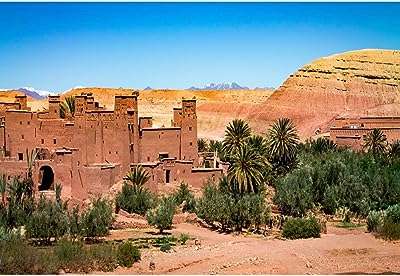 Ohran 15 x 1 m toile de fond de paysage désertique buisson. Faites des économies considérables chez DIAYTAR COTE D'IVOIRE, votre destination en ligne pour des produits discount. Notre boutique propose une large sélection d'articles pour la maison, l'électroménager, l'informatique, la mode et bien plus encore, avec des tarifs compétitifs et une satisfaction client garantie.