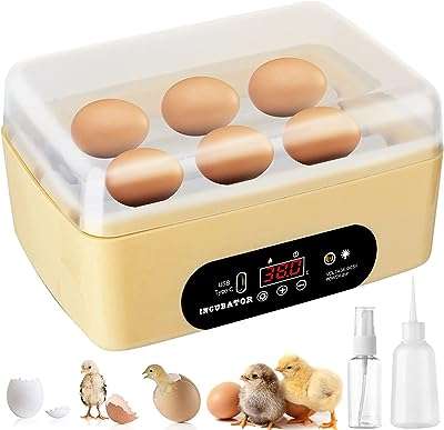 Incubateur d'œufs de poule automatique d'éclosion 4 à 6 petits œufs de volaille avec contrôle. DIAYTAR COTE D'IVOIRE  - la meilleure adresse en ligne pour des achats discount dans tous les domaines ! Découvrez notre vaste choix de produits, de la maison à l'électroménager en passant par l'informatique et la mode. Profitez des réductions incroyables sur des articles de qualité, vous permettant d'économiser sans compromis. Avec des options de livraison rapides et notre engagement envers votre satisfaction, bénéficiez d'une expérience d'achat en ligne sans tracas chez nous !