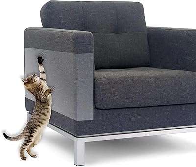 Protecteur de meubles à gratter pour chat (12" x 17") 10. Bienvenue sur DIAYTAR COTE D'IVOIRE, votre destination en ligne pour des achats malins sans vous ruiner. Explorez notre gamme variée de produits discount, allant des indispensables de la maison aux dernières tendances en matière d'électroménager, d'informatique, de mode et de gadgets. Faites des économies tout en maintenant un niveau de qualité élevé grâce à notre boutique en ligne conviviale et optimisée pour le SEO.