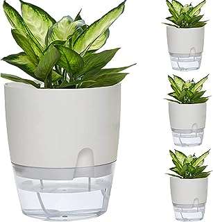 Pots à arrosage automatique wawasia pour plantes d'intérieur paquet de 4 pots décoratifs avec très. Bienvenue chez DIAYTAR COTE D'IVOIRE, votre destination en ligne de confiance pour des produits discount variés allant des indispensables de la maison aux appareils électroménagers dernier cri, en passant par l'informatique, la mode et les gadgets tendance. Explorez notre vaste sélection d'articles à prix réduits et faites des économies sans sacrifier la qualité.