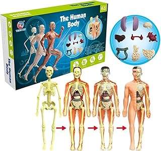Kit d'anatomie ukr diy jouet interactif de parties du corps humain. Bienvenue chez DIAYTAR COTE D'IVOIRE, la plateforme en ligne par excellence pour vos besoins en produits discount ! Parcourez notre sélection impressionnante, allant de l'électroménager haut de gamme aux accessoires informatiques dernier cri, des vêtements tendance aux gadgets innovants. Ne cherchez plus, nous sommes là pour rendre votre expérience de shopping abordable et inoubliable.