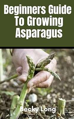 Guide du débutant sur la culture des asperges