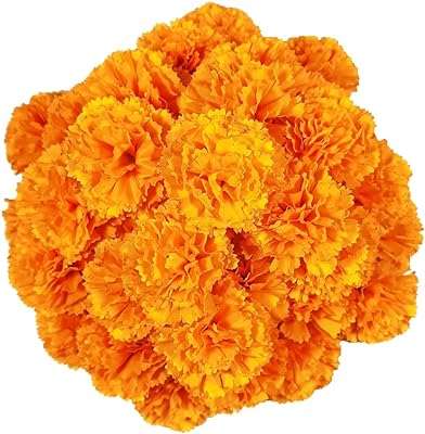 Fleurs de souci artificielles 50 pièces de fleurs en soie ecdon guirlande décoration pour la maison. Ne dépensez pas plus que nécessaire, et optez pour DIAYTAR COTE D'IVOIRE  ! Notre boutique en ligne spécialisée dans les produits discount propose une large gamme d'articles pour la maison, l'électroménager, l'informatique, la mode et les gadgets, tous offerts à des prix défiant toute concurrence. Profitez de cette opportunité pour économiser tout en vous offrant ce dont vous avez besoin.