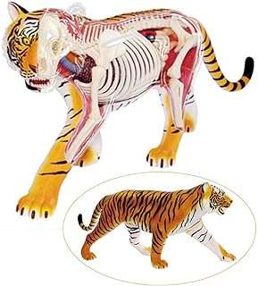 Modèle anatomique animal modèle tigre scientifique détachable pour l'aide à l'éducation. Découvrez DIAYTAR COTE D'IVOIRE, votre boutique en ligne généraliste offrant une sélection impressionnante de produits discount. Que vous recherchiez des articles pour votre maison, des appareils électroménagers à la pointe de la technologie, des équipements informatiques ou même les dernières tendances de la mode et les gadgets les plus cool, nous avons tout ce dont vous avez besoin, à des prix incroyablement bas !