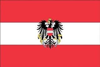 Drapeau national d'autriche avec œillets pour événements sportifs bbq 2023 coupe du monde de rugby. Faites des économies sans compromis chez DIAYTAR COTE D'IVOIRE, votre destination de shopping en ligne pour des produits discount de qualité supérieure, allant des appareils électroniques à la décoration d'intérieur.