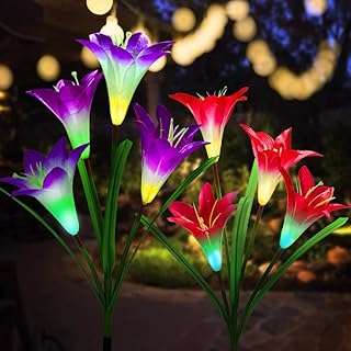 Lumières à fleurs de lys énergie solaire 【2 pièces】lampes solaires de jardin avec une plus. Ne ratez pas les bonnes affaires chez DIAYTAR COTE D'IVOIRE, votre boutique en ligne discount pour tous vos besoins. Explorez notre gamme complète de produits pour la maison, l'électroménager, l'informatique, la mode et les gadgets, et profitez des meilleurs prix du marché sans compromis sur la qualité.
