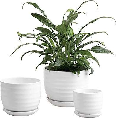 Mygift lot de 3 pots de fleurs en céramique blanche pour plantation intérieure et extérieure. Besoin de produits à petit prix ? DIAYTAR COTE D'IVOIRE  vous propose une large sélection d'articles discount, allant de la maison à l'électroménager en passant par l'informatique, la mode et les gadgets. Faites des économies en faisant vos achats chez nous !
