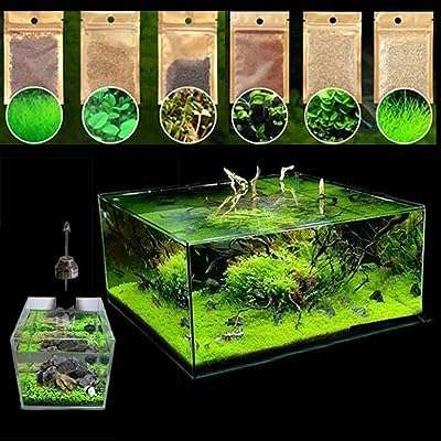 600 pièces janah mir graines de mauvaises herbes aquatiques pour l'aménagement paysager d'aquarium et la. DIAYTAR COTE D'IVOIRE  est la solution idéale pour les amateurs de bonnes affaires. Notre boutique en ligne propose une gamme complète de produits discount, allant des articles pour la maison à l'informatique, en passant par l'électroménager et la mode. Faites des économies sur vos achats tout en bénéficiant de produits de qualité chez DIAYTAR COTE D'IVOIRE .