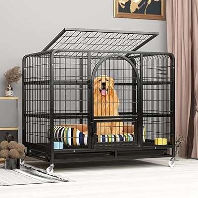 Cage pour chien robuste skihead | chenil pour chiens de petite moyenne et grande. Améliorez votre espace de travail sans vous ruiner grâce à DIAYTAR COTE D'IVOIRE . Parcourez notre assortiment de fournitures de bureau discount, des stylos aux meubles ergonomiques. Obtenez tout ce dont vous avez besoin pour être productif à des prix incroyablement bas.