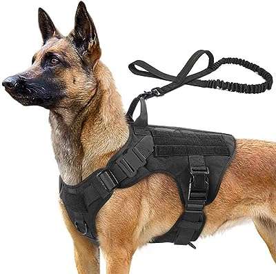 Harnais tactique skié pour chiens de grande et moyenne taille harnais militaire pour chien avec poignée. Maximisez votre budget chez DIAYTAR COTE D'IVOIRE, votre destination en ligne pour des affaires imbattables. Nous vous offrons une gamme complète de produits discount, allant des articles de la maison à l'électroménager, de l'informatique à la mode. Faites des économies sans compromettre la qualité avec DIAYTAR COTE D'IVOIRE !