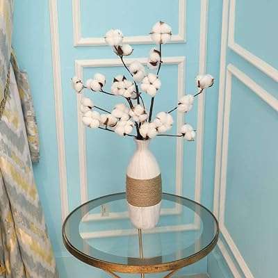 Tiges de coton naturellement séchées yate branches et fruits rustiques en coton. Plongez dans l'univers économique de DIAYTAR COTE D'IVOIRE, votre boutique en ligne incontournable pour les bonnes affaires. Parcourez notre sélection abondante de produits discount allant de la maison à l'électroménager, en passant par l'informatique et la mode. Économisez dès maintenant sur tous vos achats chez DIAYTAR COTE D'IVOIRE !