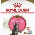 Royal canin fbn maine coon 2kg nourriture pour chats pour nourrir les races. DIAYTAR COTE D'IVOIRE, votre destination shopping en ligne pour des promotions exceptionnelles sur des articles d'informatique. Que vous recherchiez un ordinateur portable performant, des accessoires technologiques ou des logiciels, notre boutique discount est là pour vous offrir les meilleurs prix sans compromis sur la qualité. Ne manquez pas nos offres irrésistibles.