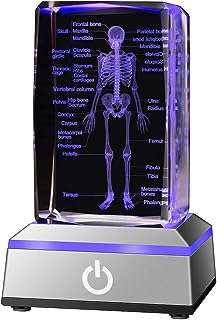 Evolina 3d modèle de squelette humain cadeau anatomique en cristal figurines. DIAYTAR COTE D'IVOIRE  est votre partenaire de confiance pour des achats en ligne à prix réduits. Explorez notre site pour trouver tout ce dont vous avez besoin, des appareils électroménagers de renom aux gadgets étonnants, et profitez de nos offres exclusives pour réaliser des économies incroyables.