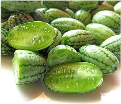 Ensemble de luxe cacamelon 600 pièces. DIAYTAR COTE D'IVOIRE  - votre adresse en ligne pour des achats malins. Profitez de nos prix réduits sur une large gamme de produits, d'une sélection d'articles pour la maison aux dernières tendances de la mode, en passant par les équipements électroniques et les accessoires informatiques. Sans compromis sur la qualité, nous rendons le shopping abordable pour tous.