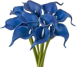 Lys calla artificiels fleurs artificielles au toucher réel bleu marine lys artificiels noirs de tigre. DIAYTAR COTE D'IVOIRE, votre allié pour des économies au quotidien ! Parcourez notre large catalogue en ligne et explorez notre gamme de produits discount allant de l'électroménager à l'informatique en passant par la mode. Profitez des dernières tendances à petits prix et faites de bonnes affaires sans compromis sur la qualité.